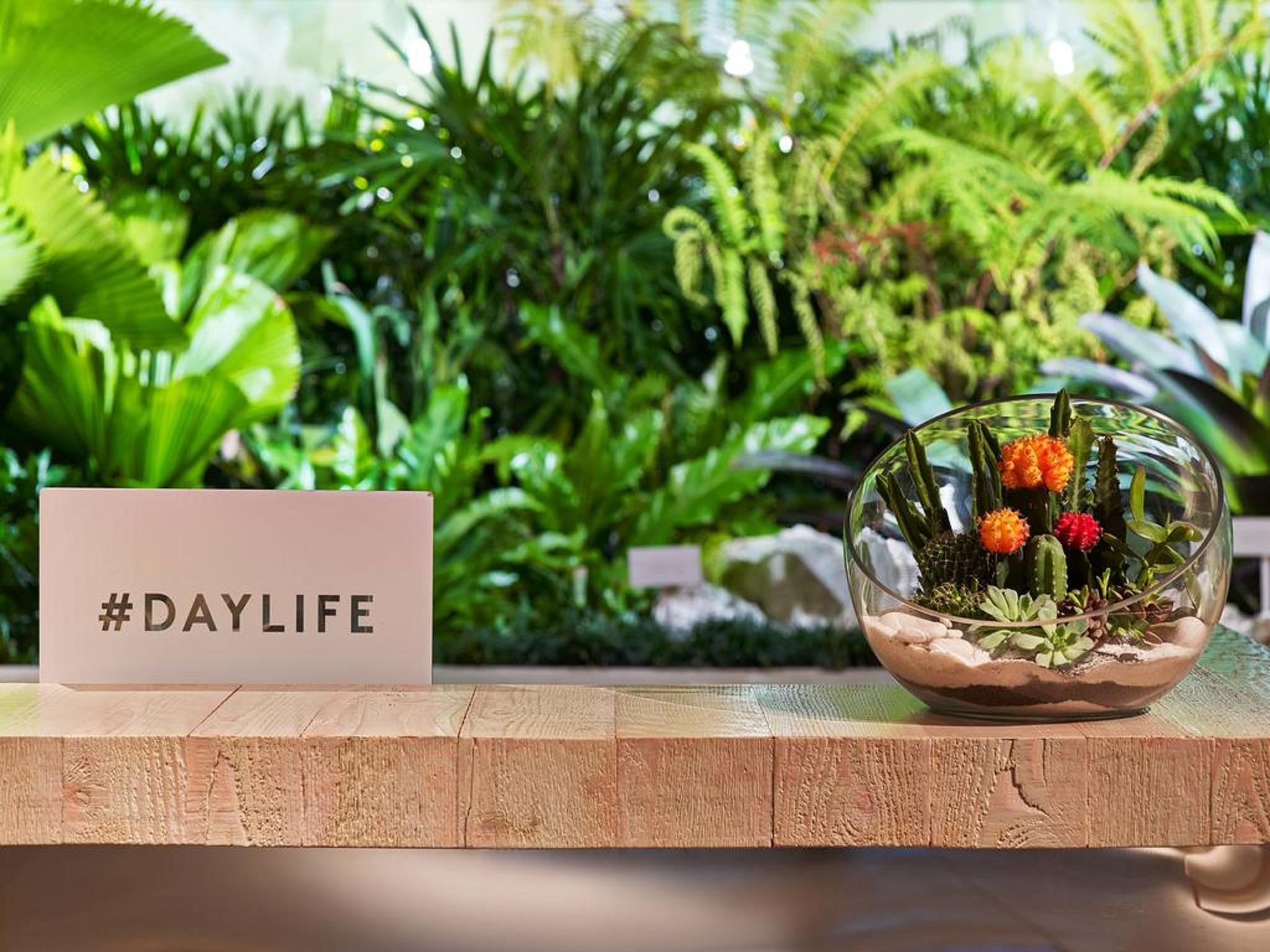 南海滩1号酒店 迈阿密海滩 外观 照片 Daylife